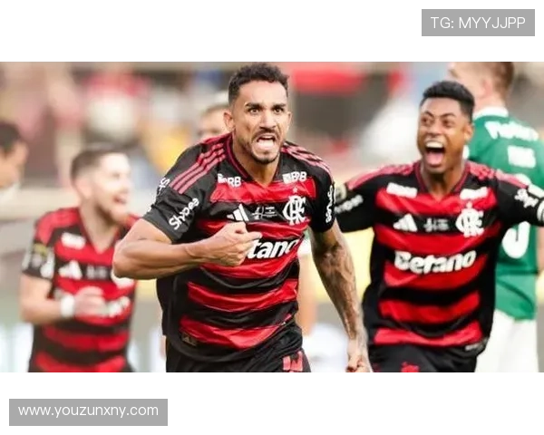 弗拉门戈历史第九冠荣耀加冕提前一轮锁定巴甲与解放者杯双冠